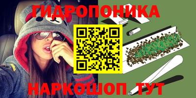 тгк Лесосибирск