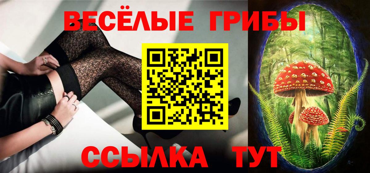 Псилоцибиновые грибы Cubensis Изобильный
